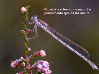 Não existe o bom ou o mau; é o pensamento que os faz assim. 