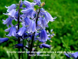 O horror visível tem menos poder sobre a alma do que o horror imaginado.  