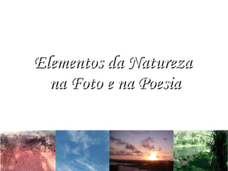 Elementos da Natureza
  na Foto e na Poesia
 