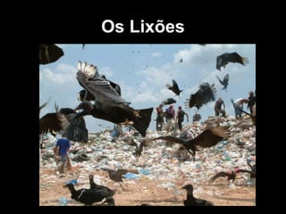 Os Lixões 