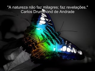 "A natureza não faz milagres; faz revelações." Carlos Drummond de Andrade 