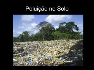 Poluição no Solo 