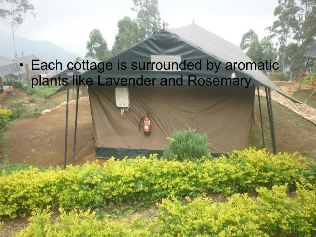 Nature zone resort munnar fort cochin hotels heritage hotels hotels Wayanad hotels