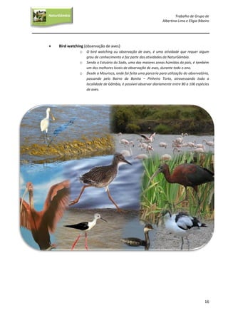 Trabalho de Grupo de
Albertina Lima e Elígia Ribeiro
16
NaturGâmbia
O contacto com a natureza…O contacto com a natureza…
 Bird watching (observação de aves)
o O bird watching ou observação de aves, é uma atividade que requer algum
grau de conhecimento e faz parte das atividades da NaturGâmbia.
o Sendo o Estuário do Sado, uma das maiores zonas húmidas do país, é também
um dos melhores locais de observação de aves, durante todo o ano.
o Desde a Mourisca, onde foi feita uma parceria para utilização do observatório,
passando pelo Bairro da Bonita – Pinheiro Torto, atravessando toda a
localidade de Gâmbia, é possível observar diariamente entre 80 a 100 espécies
de aves.
 