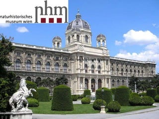Naturhistorisches Museum Wien
 