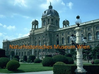 Naturhistorisches Museum Wien
Will Snyder
 