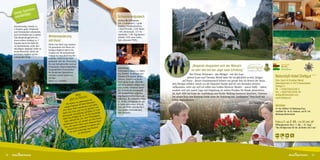 mmer-
     Un ser So pp:
             rti
     wande                                                                                                  Schwammerlgulasch
                                                                                                            Zutaten für 4 Personen:
                                                                                                            500 g Schwammerl, 1 große
     Dolomitensteig, Gehzeit ca.                                                                            Zwiebel, 2 Knoblauchzehen,
     5 Stunden, gutes Schuhwerk                                                                             1 Bund Petersilie, 2 Eßl. Butter,
     und Trittsicherheit erforderlich,                                                                      1 Eßl. Zitronensaft, 1/2 l Ge-
     auch mit Hunden gut zu gehen.                                                                          müsebrühe, 1 Eßl. Paprikpulver
     Vom Baumschlagerreith ein           Winterwanderung                                                    edelsüß, 4 Eßl. saure Sahne,
     etwas steilerer Aufstieg ca. 2      mit Hund                                                           Salz, schwarzer Pfeffer
     Stunden durch den Wald bis
                                         Direkt vom Hotel weg wandern
     zur Hochsteinalm, weiter den
                                         Sie gemeinsam mit Ihrem vier-
     ehemaligen Jagdsteig vorbei an
                                         beinigen Begleiter durch eine
     einem Wasserfall, immer mit
                                         wundervolle Winterlandschaft
     herrlichem Ausblick auf die
                                         entlang der Steyr Richtung Hin-
     umliegenden Berge.
                                         terstoder, vorbei an der Dietl-
                                         gutkapelle über den Flötzersteig
                                         bis zum Schiederweiher und zur
                                                                                                                                                                  „Nirgends strapaziert sich der Mensch
                                                                                                                                                                                                                                                     Familie  Natur
                                                                                                                                                                                                                                                                                              Das Öste
                                                                                                                                                                                                                                                     Natur-Aktiv
                                         Polsterlucke, Einkehrmöglichkeit                                                                                                                                                                                                                     für Druck
                                                                                                            Zubereitung:                                                                                                                             Natur-Genuss
                                         im gemütlichen Polsterstüberl
                                                                                                            Schwammerl putzen, ev. halbie-                        so sehr wie bei der Jagd nach Erholung“                                            Hunde willkommen
                                                                                                                                                                                                                                                                                              Ferdinan

                                         bei heimischen Spezialitäten
                                                                                                            ren, Zwiebel, Knoblauch und                          Ihre Private Naturinsel – das Dietlgut – mit den Gast-
                                         und dann wieder zurück ins
                                         Dietlgut.
                                                                                                            Petersilie fein hacken, Butter
                                                                                                                                                               gebern Karin und Christian Wendl laden Sie ein glücklich zu sein. Hunger        Naturidyll Hotel Dietlgut ✶ ✶ ✶
                                                                                                                                                                                                                                                                         Unbenannt-1 1
                                                                                                            erhitzen, Zwiebel und Knob-
                                         Dauer: ca. 3 Stunden                                                                                             auf Natur - diesen Urlaubswunsch können wir gerade hier im Herzen der Natur,         Fam. Karin  Christian Wendl
                                                                                                            lauch glasig braten, Petersilie
                                                                                                                                                dem Dietlgut erfüllen. Gleich vor der Haustüre! Hunde sind bei uns besonders herzlich          Oberösterreich, A-4573 Hinterstoder,
                                                                                                            und Schwammerl zufügen und
                                                                                                                                                willkommen, nicht nur weil wir selbst eine Golden Retriever Hündin – unsere Daffy – haben,     Dietlgut 5
                                                                                                            etwa 10 Min. schmoren lassen.
                                                                                                            Das Gulasch mit Zitronensaft        sondern weil sich unsere Lage und Umgebung als wahres Paradies für Hunde präsentieren.         Tel.: +43(0)7564/5248-0
                                                                                                            und Gemüsebrühe aufgießen,                                                                                                         Fax: +43(0)7564/5248-39
                                                                                                                                                Im April 2007 hat Karin die Ausbildung zum Nordic-Walking-Instructor absolviert, Christian
                                                                       Was s:                               Paprikapulver unterrühren und                                                                                                      dietlgut@naturidyll.com
                                                                             e                                                                  hat seinen Kurs zum Running-Guide unter der Anleitung des „Laufpapstes“ Peter Greif mit
                                                                 gib t es Neu sam mit                       aufkochen. Bei schwacher Hitze
                                                                                                                                                Erfolg abgeschlossen.
                                                                                                                                                                                                                                               www.dietlgut.at
                                                                                emein                       ca. 10 Min. fertiggaren, die sau-
                                                                      en vor, g            tember                                                                                                                        Ihre Familie Wendl
                                                              Wir hab ern ab Ende Sep haben                 re Sahne unterrühren und mit
                                                           einigen
                                                                    Partn           aue n und                                                                                                                                                  Anreise
                                                                           l auszub             n sehr      Salz und Pfeffer abschmecken.
                                                                  ser Hote            ir glaube                                                                                                                                                A1 bis Abfahrt A9 Richtung Graz,
                                                         2012 un eue, und wie w den. Es wird                Dazu passen Semmelknödel
                                                                                                                                                                                                                                               Ausfahrt Nr. 36 St. Pankraz, auf B 138
                                                                   en                  fun
                                                         dafür ein Ausrichtung, ge is eineinhalb            oder Semmeln.
                                                                                                                                                                                                                                               Richtung Hinterstoder
                                                        inte ressante gut für ca. ein b bauphase
                                                         daher da
                                                                   s Dietl            zw. Neu
                                                                              r Um- b             r bemü-
                                                                    hrend de werden uns abe ieser
                                                          Jahre wä            wir               nd d                                                                                                                                           Preis p.P.: ab € 48,- im DZ inkl. HP
                                                                    en sein,            h währe und
                                                          geschloss nsere Gäste auc              n                                                                                                                                             Öffnungszeiten 2012: 1. Jän. – 25. Aug.*
                                                                    eu                   zu halte
                                                           hen, all dem Laufenden             Neustart                                                                                                                                         *Das Dietlgut baut für Sie ab Herbst 2012 um!
                                                               Zeit auf rechtzeitig vom
                                                                  sie auch             ieren.
                                                                             zu inform

                                                                                                                                                                                                                                                30   20    € 0,–




34                                                                                                                                                                                                                                                                                       35
 