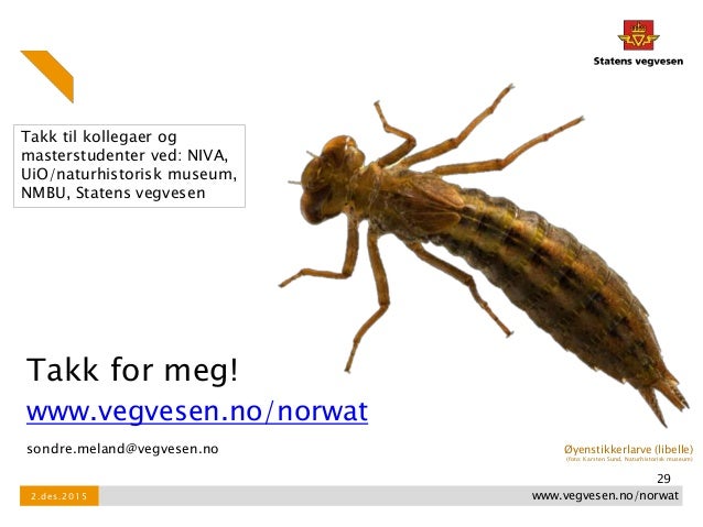 Online dating bra eller darlig