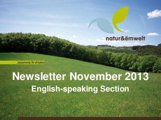 Newsletter November 2013
English-speaking Section

 