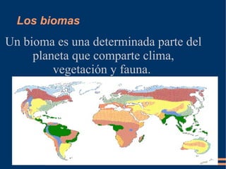 Los biomas Un bioma es una determinada parte del planeta que comparte clima, vegetación y fauna.  