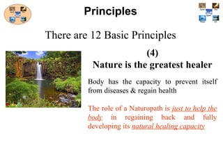 (4)
Nature is the greatest healer
Body has the capacity to prevent itself
from diseases & regain health
The role of a Naturopath is just to help the
body in regaining back and fully
developing its natural healing capacity
Principles
There are 12 Basic Principles
 