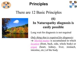 (6)
In Naturopathy diagnosis is
easily possible
Long wait for diagnosis is not required
Only thing that is required for diagnosis:
→ Morbid matter is accumulated in which
location (front, back, side, whole body) or
organ (heart, kidney, liver, stomach,
intestine, etc.) of the body
Principles
There are 12 Basic Principles
 