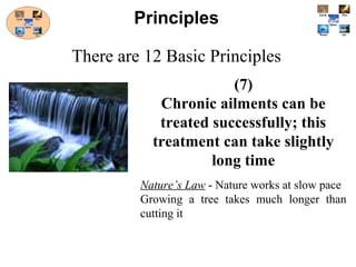 (7)
Chronic ailments can be
treated successfully; this
treatment can take slightly
long time
Nature’s Law - Nature works at slow pace
Growing a tree takes much longer than
cutting it
Principles
There are 12 Basic Principles
 