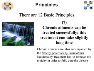 (7)
Chronic ailments can be
treated successfully; this
treatment can take slightly
long time
Chronic ailments are also accompanied by
the toxicity generated by medications
Naturopathy treatment has to remove this
toxicity in order to fully cure the disease
Principles
There are 12 Basic Principles
 