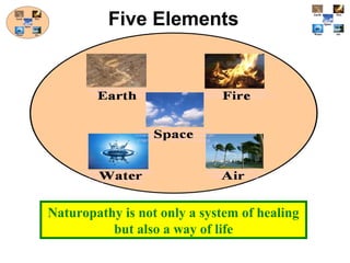Five Elements
Naturopathy is not only a system of healing
but also a way of life
 