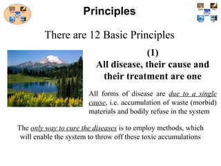(1)
All disease, their cause and
their treatment are one
All forms of disease are due to a single
cause, i.e. accumulation of waste (morbid)
materials and bodily refuse in the system
Principles
There are 12 Basic Principles
The only way to cure the diseases is to employ methods, which
will enable the system to throw off these toxic accumulations
 