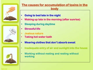 The causes for accumulation of toxins in the
body
• Going to bed late in the night
 Waking up late in the morning (after sunrise)
 Sleeping during daytime
 Stressful life
 Jealous nature
• Taking hot water bath
• Wearing clothes that don’t absorb sweat
• Inadequate entry of air and sunlight into the house
• Working without resting and resting without
working
 