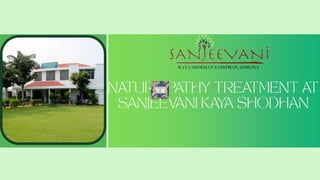 Naturopathy & Ayurvedic At Sanjeevani Kaya Shodhan.pptx