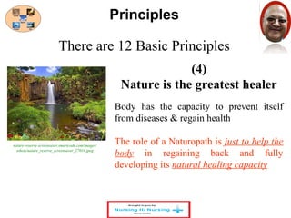There are 12 Basic Principles 
(4) 
Principles 
Nature is the greatest healer 
Body has the capacity to prevent itself 
from diseases & regain health 
The role of a Naturopath is just to help the 
body in regaining back and fully 
developing its natural healing capacity 
nature-reserve-screensaver.smartcode.com/images/ 
sshots/nature_reserve_screensaver_27016.jpeg 
 