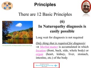 There are 12 Basic Principles 
(6) 
Principles 
In Naturopathy diagnosis is 
easily possible 
Long wait for diagnosis is not required 
Only thing that is required for diagnosis: 
® Morbid matter is accumulated in which 
location (front, back, side, whole body) or 
organ (heart, kidney, liver, stomach, 
intestine, etc.) of the body 
www.layoutsville.com/images/graphics/nature/nature6.jpg 
 