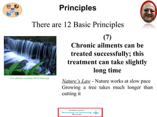 There are 12 Basic Principles 
(7) 
Principles 
Chronic ailments can be 
treated successfully; this 
treatment can take slightly 
long time 
Nature’s Law - Nature works at slow pace 
Growing a tree takes much longer than 
cutting it 
www.alkalima.com/images/08-02/nature.jpg 
 