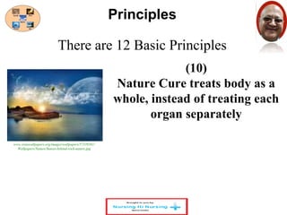 There are 12 Basic Principles 
(10) 
Principles 
Nature Cure treats body as a 
whole, instead of treating each 
organ separately 
www.vistawallpapers.org/images/wallpapers/57339581/ 
Wallpapers/Nature/Sunset-behind-rock-nature.jpg 
 