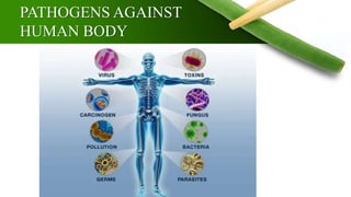 Immunity and Life Style | PPTX