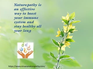 Naturopathy is
an effective
way to boost
your immune
system and
stay healthy all
year long
https://www.nirvananaturopathy.com/
 