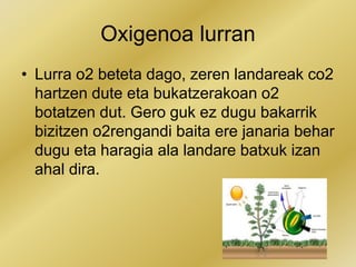 Oxigenoa lurran
• Lurra o2 beteta dago, zeren landareak co2
hartzen dute eta bukatzerakoan o2
botatzen dut. Gero guk ez dugu bakarrik
bizitzen o2rengandi baita ere janaria behar
dugu eta haragia ala landare batxuk izan
ahal dira.
 