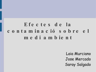 Efectes de la contaminació sobre el medi ambient Laia Murciano Jose Mercado Saray Salgado 