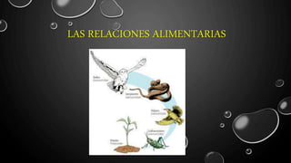 LAS RELACIONES ALIMENTARIAS
 