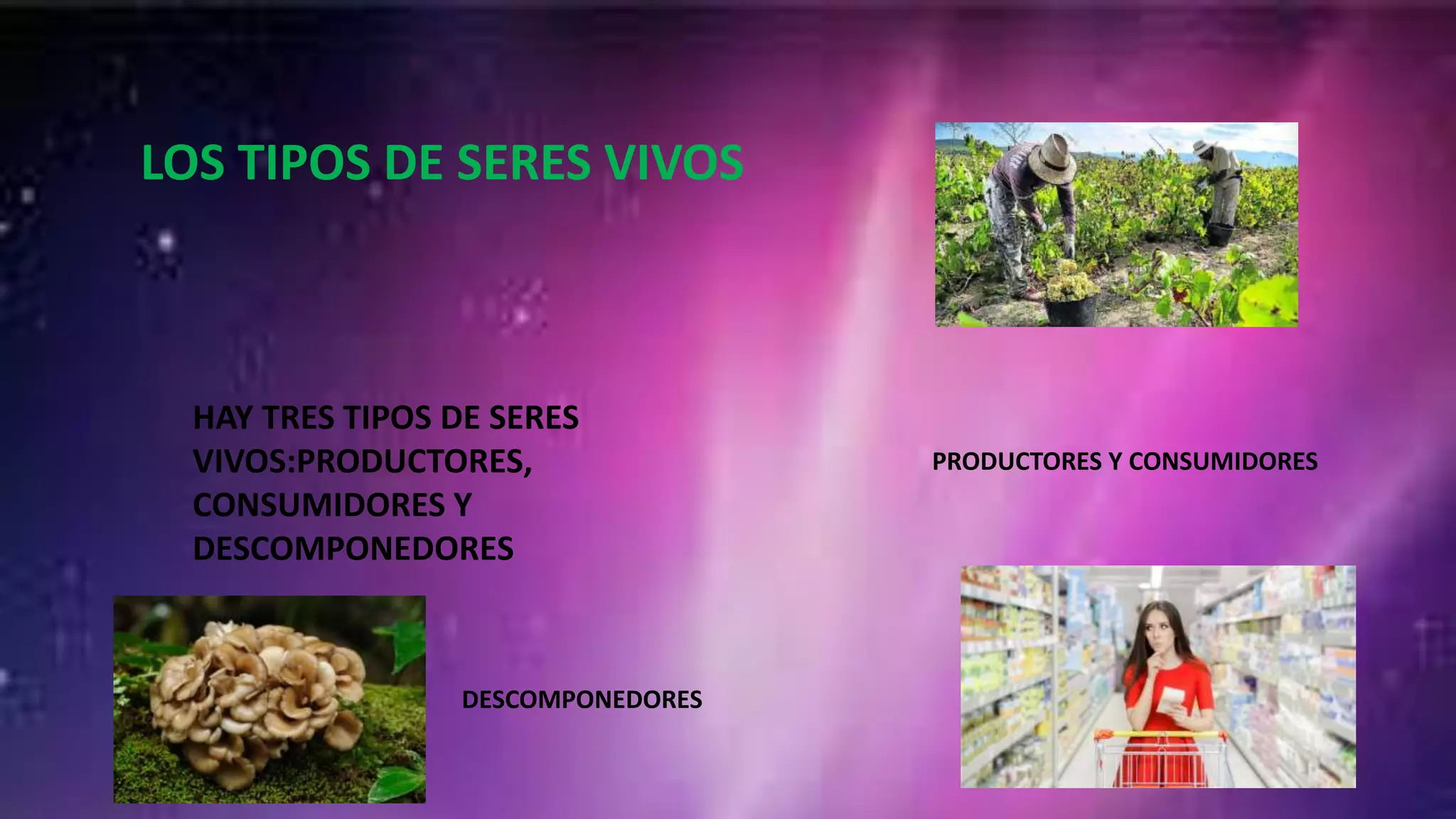LOS TIPOS DE SERES VIVOS.