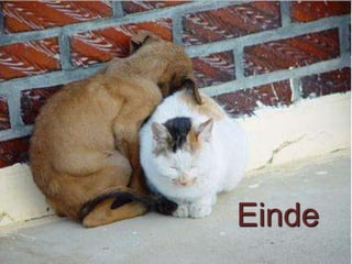 Einde
 