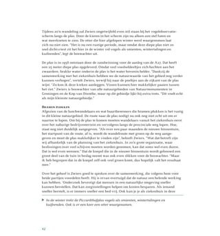 Tijdens zo’n wandeling zal Zwiers ongetwijfeld even stil staan bij het vogelobservatie­
scherm langs de plas. Door de kieren in het scherm zijn nu alleen een stel futen en
wat meerkoeten te zien. De otter die hier afgelopen winter werd waargenomen laat
zich nu niet zien. “Het is nu een rustige periode, maar omdat deze diepe plas niet zo
snel dichtvriest zit het hier in de winter vol vogels als smienten, wintertalingen en
kuifeenden”, legt de boswachter uit.
De plas is in 1958 ontstaan door de zandwinning voor de aanleg van de A27. Dat heeft
een 25 meter diepe plas opgeleverd. Omdat veel voedseldeeltjes zich hechten aan het
zwaardere, brakke water onderin de plas is het water bovenin helder. “Dankzij de
samenwerking met het ziekenhuis hebben we de natuur­waarde van het gebied nog verder
kunnen verhogen”, vertelt Zwiers, terwijl hij naar de poeltjes aan de zijkant van de plas
wijst. “Zo kon ik deze kreken aanleggen. Vissen kunnen hier makkelijker paaien tussen
het riet.” Zwiers is boswachter van alle natuurgebieden van Natuurmonumenten in
Groningen en de Kop van Drenthe, maar op dit gebiedje lijkt hij extra trots. “Dit voelt echt
als mijn kleinste natuurgebiedje.”
Bramen plukken
Afgezien van de lunchwandelaars en wat buurtbewoners die bramen plukken is het rustig
in dit kleine natuurgebied. De route naar de plas nodigt nu ook nog niet echt uit om er
naartoe te lopen. Om bij de plas te komen moeten wandelaars vanuit het ziekenhuis eerst
over het naburige bedrijventerrein en vervolgens langs de provinciale weg lopen. Hoe,
staat nog niet duidelijk aangegeven. “Als over een paar maanden de nieuwe binnen­tuin,
het startpunt van de route, af is, wordt de wandelroute met groen op de weg aange­
geven en moet de plas makkelijker te vinden zijn”, belooft Zwiers. “Wat dat betreft zijn
wij afhankelijk van de planning van het ziekenhuis. In zo’n grote organisatie, waar
beslissingen over veel schijven moeten worden genomen, kan dat soms wel even duren.
Dat is wel even wennen.” Dat de koepel die in de nieuwe binnentuin wordt gebouwd een
groot deel van de tuin in beslag neemt was ook even slikken voor de boswachter. “Maar
ik heb begrepen dat in de koepel zelf ook veel groen komt, dus hopelijk valt het resultaat
mee.”
Over het geheel is Zwiers goed te spreken over de samenwerking, die volgens hem voor
beide partijen voordelen heeft. Hij is ervan overtuigd dat de natuur een helende werking
kan hebben. ‘Onderzoek bevestigt dat mensen in een natuurlijke omgeving sneller
kunnen herstellen. Dat kan zorginstellingen helpen om kosten besparen. Als iemand
sneller herstelt, is er immers sneller een bed vrij. Ook kun je je als ziekenhuis in deze
In de winter trekt de Piccardthofplas vogels als smienten, wintertalingen en
kuifeenden. Ook is er een keer een otter waargenomen.
42
 