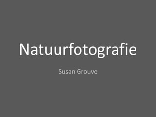 Natuurfotografie Susan Grouve 
