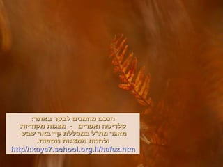 הנכם מוזמנים לבקר באתר : קלריטה ואפרים  -  מצגות מקוריות מאגר מת " ל במכללת קיי באר שבע  ולהנות ממצגות נוספות . http :// kaye7 . school . org . il / hafez . htm 