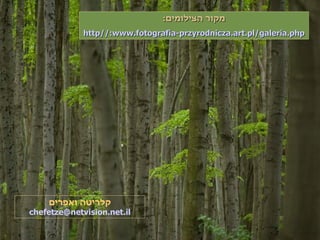 מקור הצילומים : http :// www . fotografia - przyrodnicza . art . pl / galeria . php קלריטה ואפרים [email_address] 