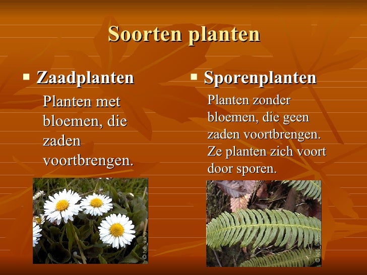 Natuurkennis