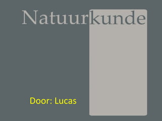 Door: Lucas
 
