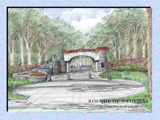 BOSQUE DE NATIVITAS Acceso Embarcadero 