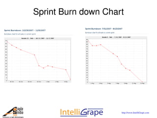Metrics for Agile Projects