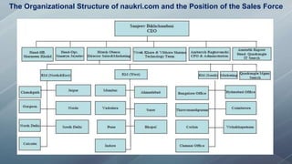 The Organizational Structure of naukri.com and the Position of the Sales Force
 