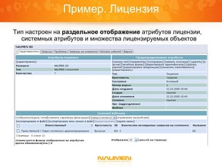 Пример. Лицензия
Тип настроен на раздельное отображение атрибутов лицензии,
  системных атрибутов и множества лицензируемых объектов
 