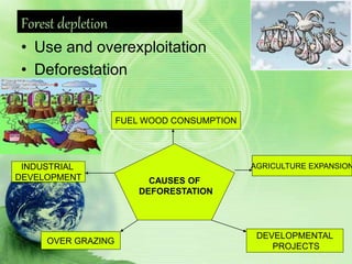 Forest depletion
• Use and overexploitation
• Deforestation
CAUSES OF
DEFORESTATION
FUEL WOOD CONSUMPTION
AGRICULTURE EXPANSION
DEVELOPMENTAL
PROJECTS
OVER GRAZING
INDUSTRIAL
DEVELOPMENT
 