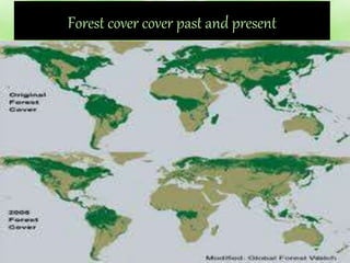 Forest cover cover past and present
 