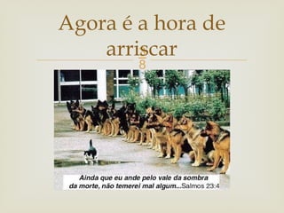 
Agora é a hora de
arriscar
 