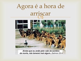 
Agora é a hora de
arriscar
 