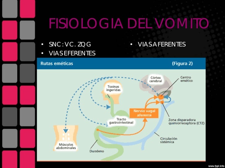 Nauseas y vomito Nauseas y vomito