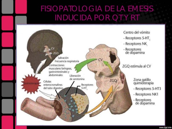 Nauseas y vomito Nauseas y vomito