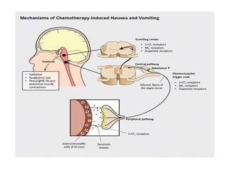 Cinv Pathophys Nausea And Vomiting Mechanism